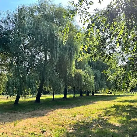 Le Moulin De Bafave Сasa de vacaciones *